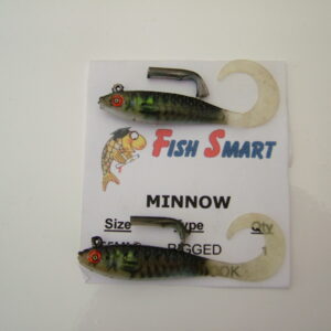 LURE FISH 50mm rigged pkt 2