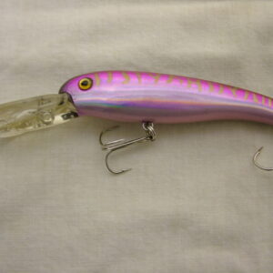 LURE SHAPE 31 H07